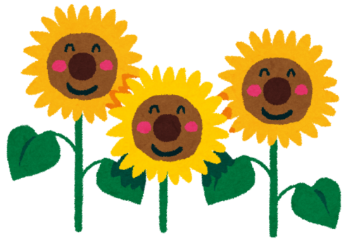 flower_sunflower.png