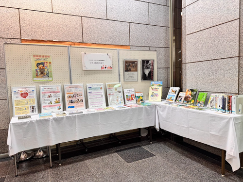 展示写真(よこなが).png