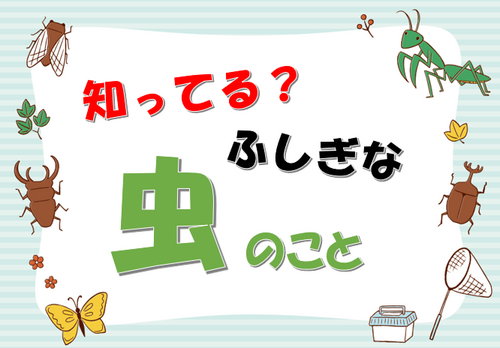 知ってる？ふしぎな虫のこと.png